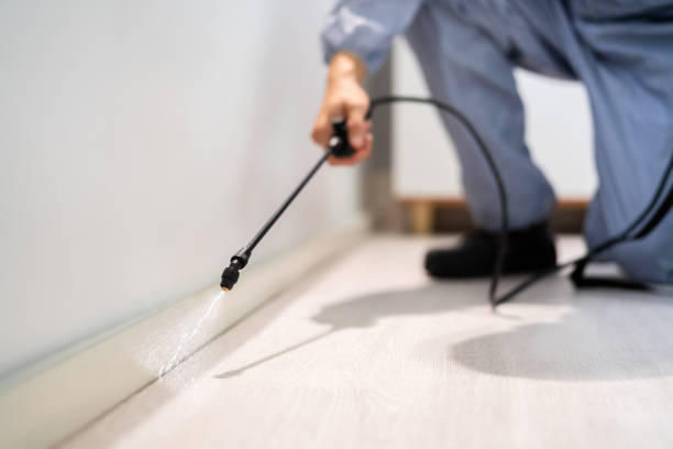 Rodent Entry Point Assessment in Winsted