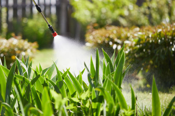 Tamper-Resistant Bait Stations for Rodents in Winsted