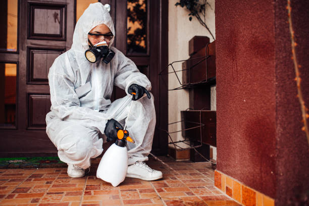 Attic and Crawl Space Rodent Treatment in Winsted