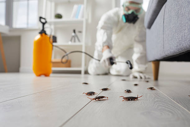 Commercial Rodent Management in Winsted